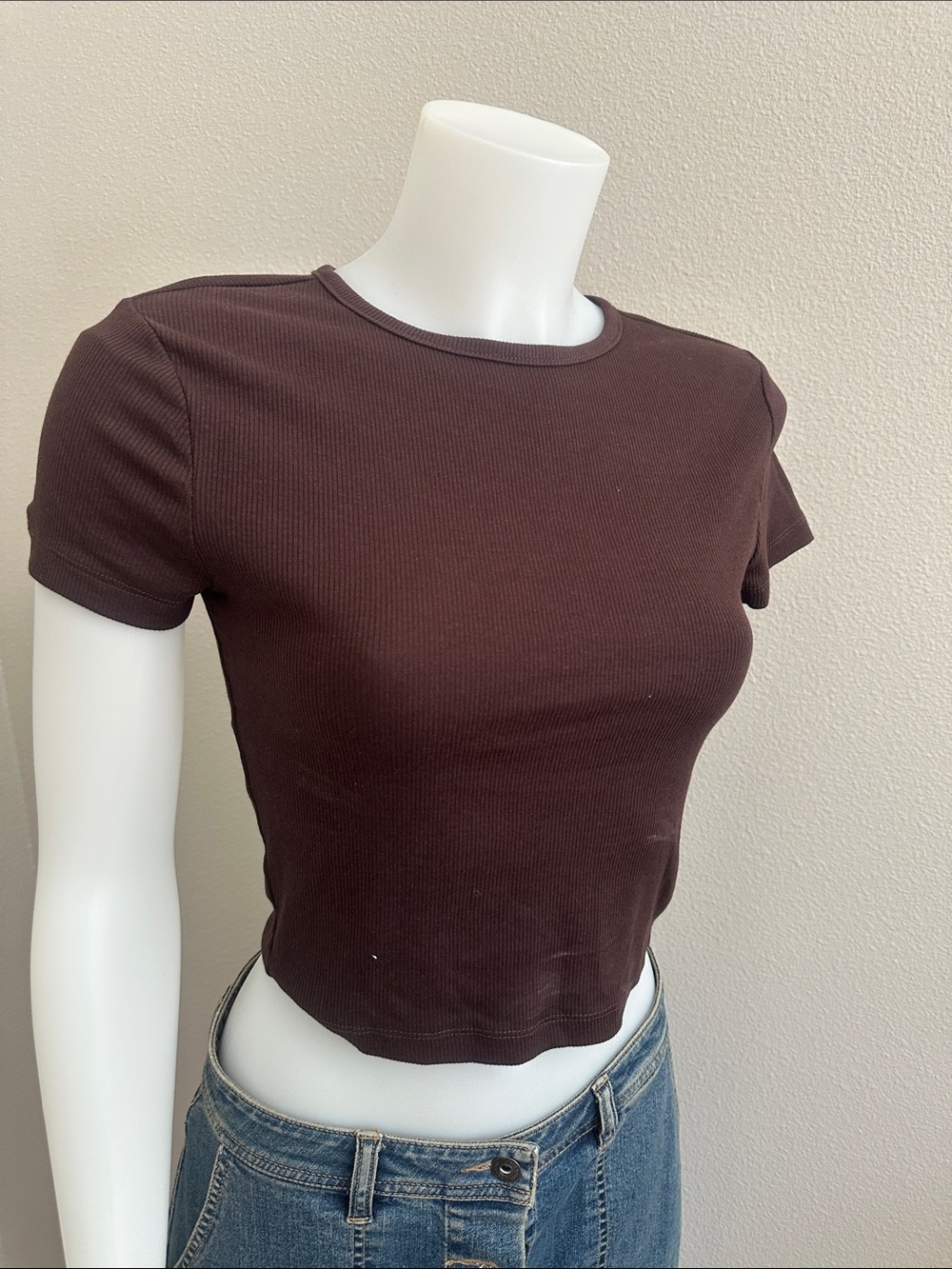 Divided Dark Brown Ribbed Crop Top